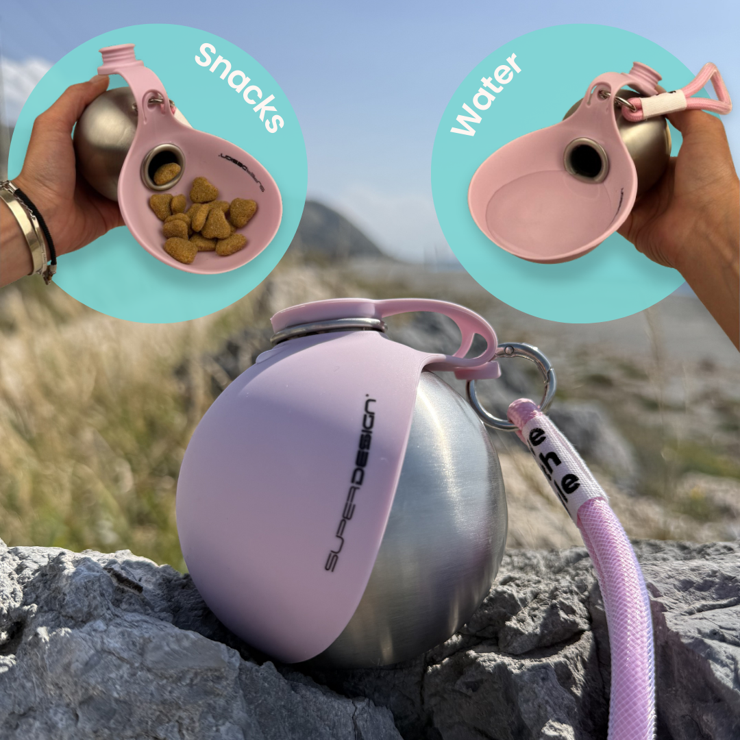 Portable Dog Water Bottle – 2-in-1 Stainless Steel Pet Travel Bottle with Silicone Bowl (Leak-Proof)