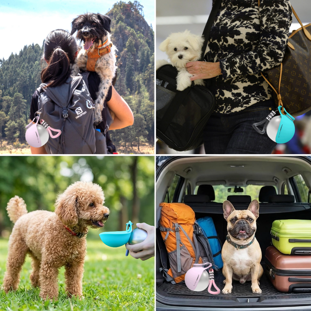 Portable Dog Water Bottle – 2-in-1 Stainless Steel Pet Travel Bottle with Silicone Bowl (Leak-Proof)